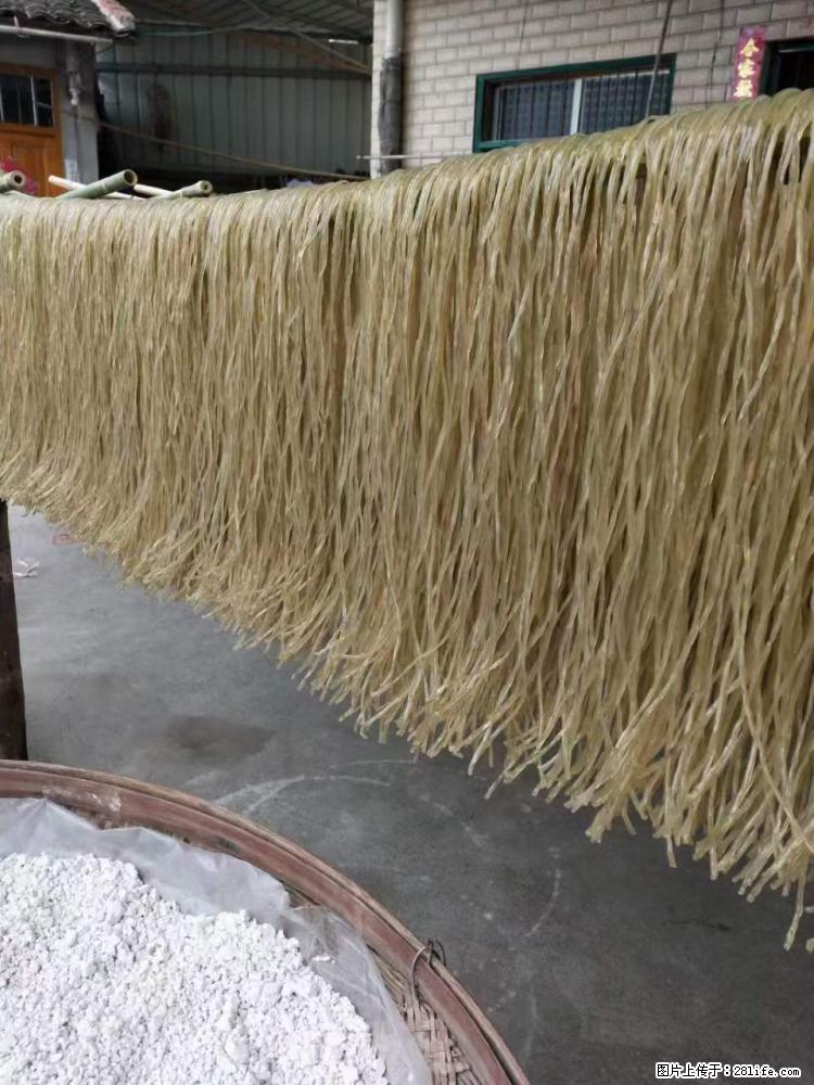 【灌阳正宗红薯粉】美女家里自己做的，干净卫生，假一赔十，价格合理，抢购电话：13737312895 - 美食天地 - 明港生活社区 - 明港28生活网 mg.28life.net