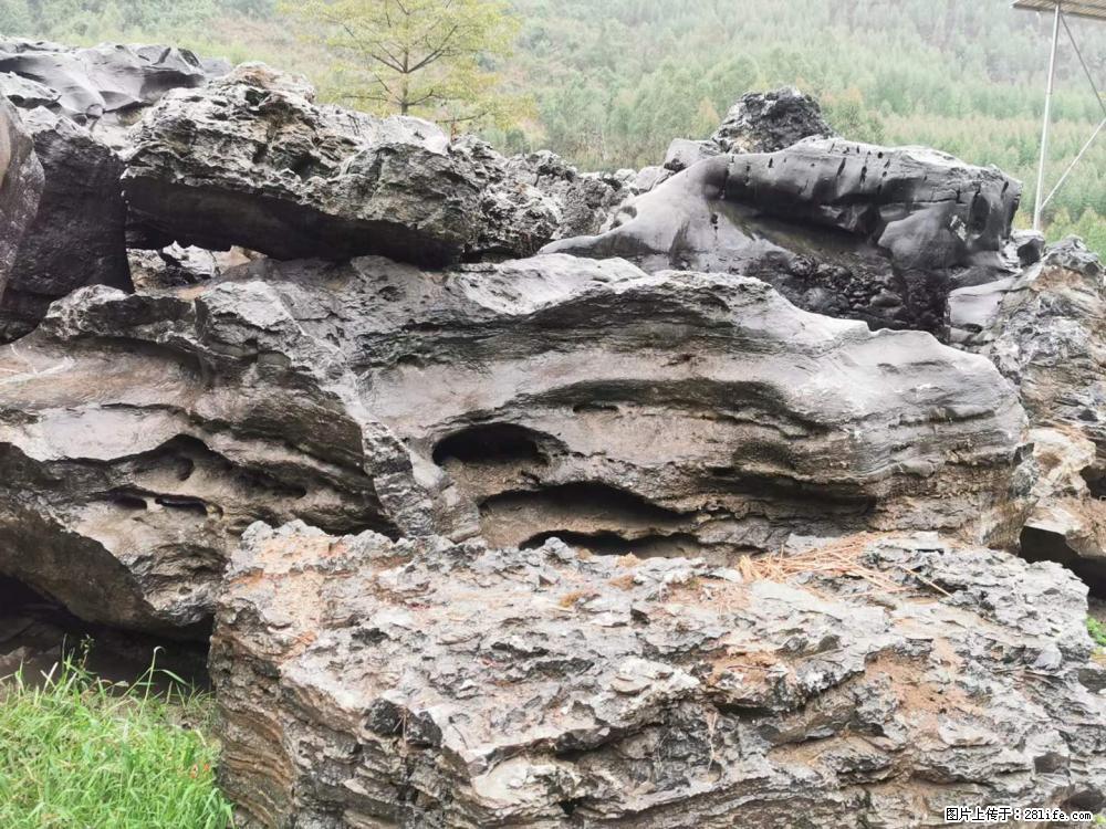 风景石、假山石大量有货，有需要的欢迎联系 - 新手上路 - 明港生活社区 - 明港28生活网 mg.28life.net