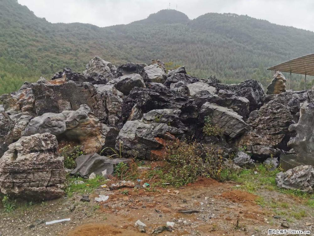 风景石、假山石大量有货，有需要的欢迎联系 - 新手上路 - 明港生活社区 - 明港28生活网 mg.28life.net