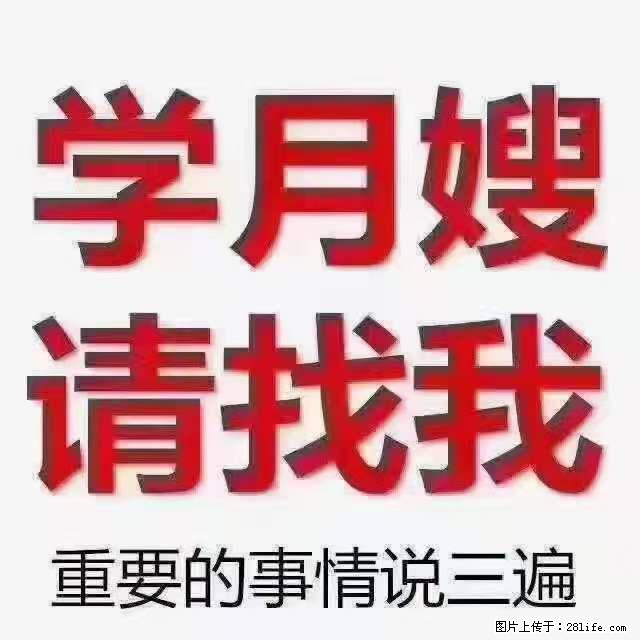 为什么要学习月嫂，育婴师？ - 其他广告 - 广告专区 - 明港分类信息 - 明港28生活网 mg.28life.net