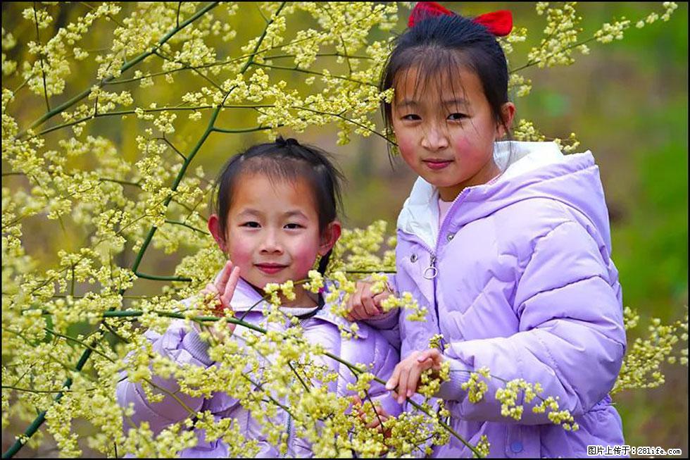 【春天，广西桂林灌阳县向您发出邀请！】米珠山前有片山苍子花在飘香 - 游山玩水 - 明港生活社区 - 明港28生活网 mg.28life.net