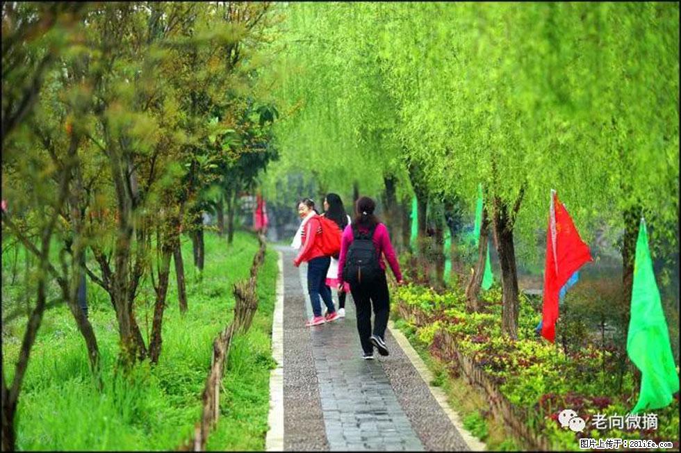 【春天，广西桂林灌阳县向您发出邀请！】江口老街又逢春 - 游山玩水 - 明港生活社区 - 明港28生活网 mg.28life.net