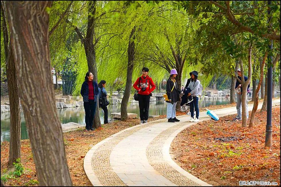 【春天，广西桂林灌阳县向您发出邀请！】江口老街又逢春 - 游山玩水 - 明港生活社区 - 明港28生活网 mg.28life.net