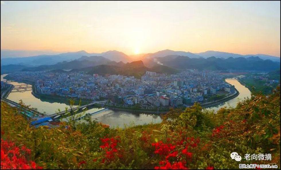 【春天，广西桂林灌阳县向您发出邀请！】登麒麟山，相约映山红 - 游山玩水 - 明港生活社区 - 明港28生活网 mg.28life.net
