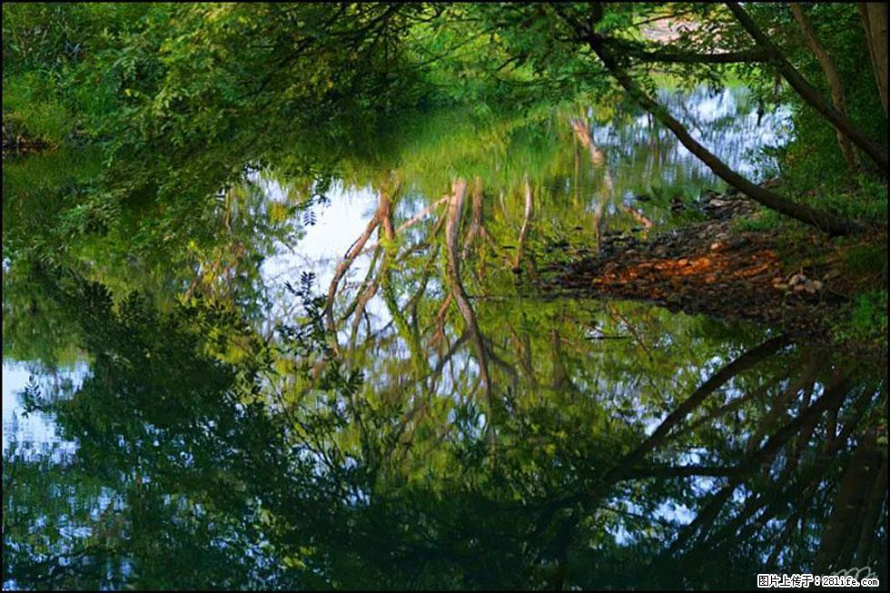 【春天，广西桂林灌阳县向您发出邀请！】熊家寨湿地公园 - 游山玩水 - 明港生活社区 - 明港28生活网 mg.28life.net