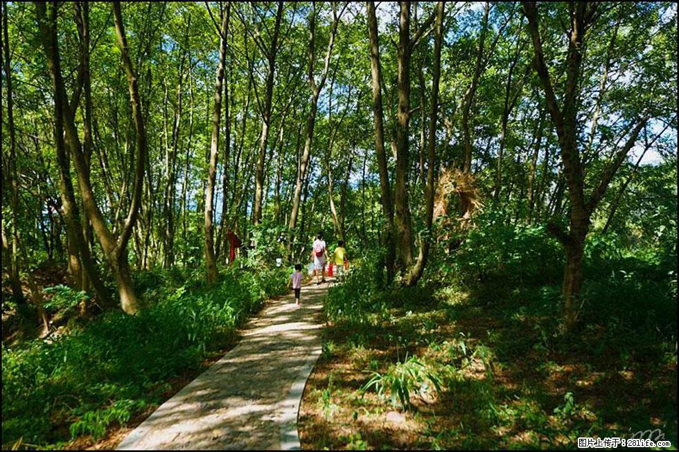 【春天，广西桂林灌阳县向您发出邀请！】熊家寨湿地公园 - 游山玩水 - 明港生活社区 - 明港28生活网 mg.28life.net