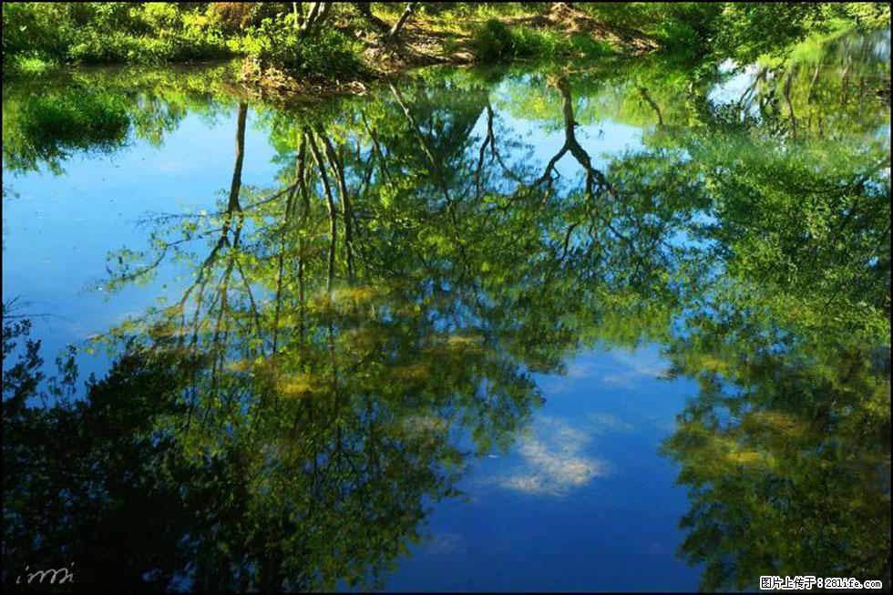 【春天，广西桂林灌阳县向您发出邀请！】熊家寨湿地公园 - 游山玩水 - 明港生活社区 - 明港28生活网 mg.28life.net