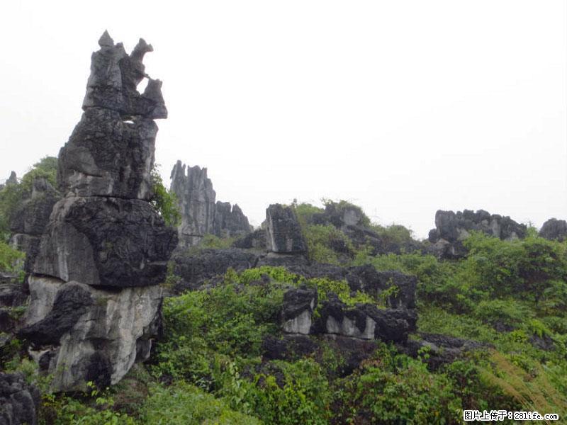桂林旅游名城景点：灌阳文市石林 - 游山玩水 - 明港生活社区 - 明港28生活网 mg.28life.net