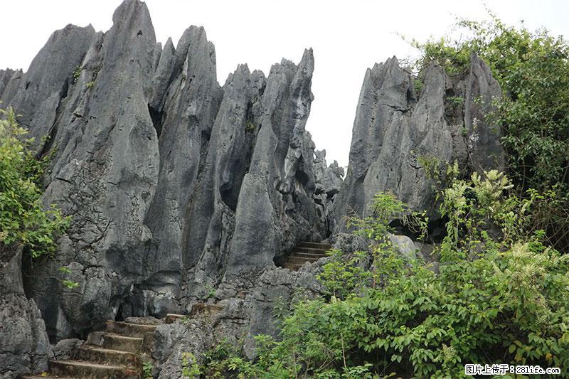 桂林旅游名城景点：灌阳文市石林 - 游山玩水 - 明港生活社区 - 明港28生活网 mg.28life.net