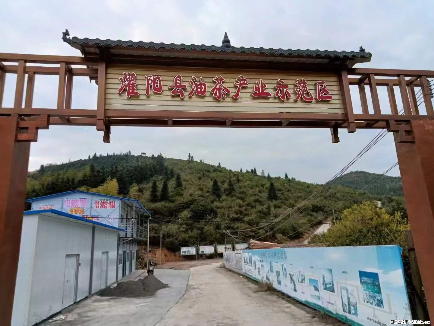 【灌阳县油茶产业示范区】一个有着充实的精神生活的人，对待身外之物自会有一种淡泊的态度 - 美食天地 - 明港生活社区 - 明港28生活网 mg.28life.net