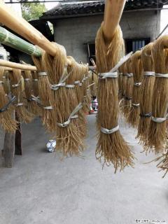 【灌阳正宗红薯粉】美女家里自己做的，干净卫生，假一赔十，价格合理，抢购电话：13737312895 - 明港28生活网 mg.28life.net