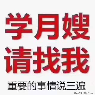 为什么要学习月嫂，育婴师？ - 明港28生活网 mg.28life.net