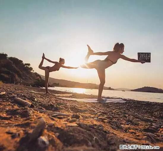 辞掉工作周游世界？现在他们在洗厕所…… - 游山玩水 - 明港生活社区 - 明港28生活网 mg.28life.net