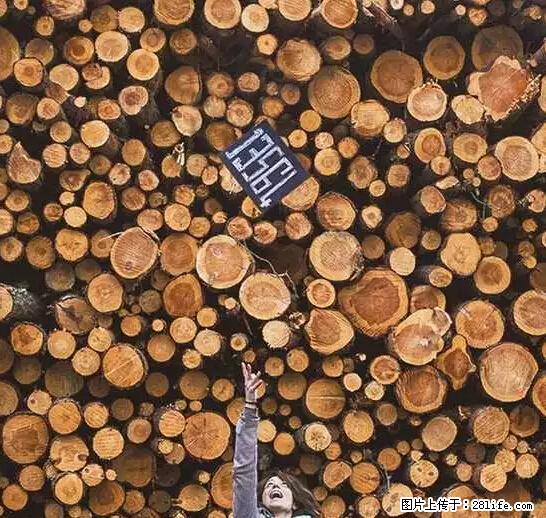 辞掉工作周游世界？现在他们在洗厕所…… - 游山玩水 - 明港生活社区 - 明港28生活网 mg.28life.net