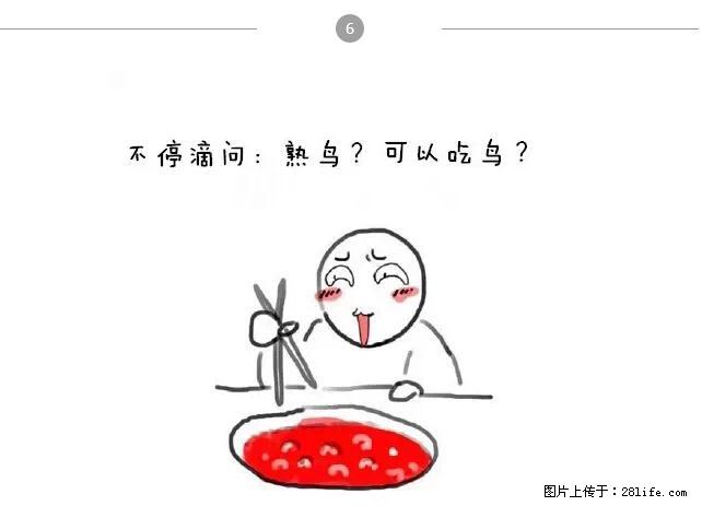 千万不要和这9种哈卵一起吃火锅！ - 美食天地 - 明港生活社区 - 明港28生活网 mg.28life.net