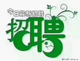 【招聘摄像师】待遇：试用期6000元/月，转正7000元/月+五险一金+餐补+节日福利+奖金 - 明港28生活网 mg.28life.net