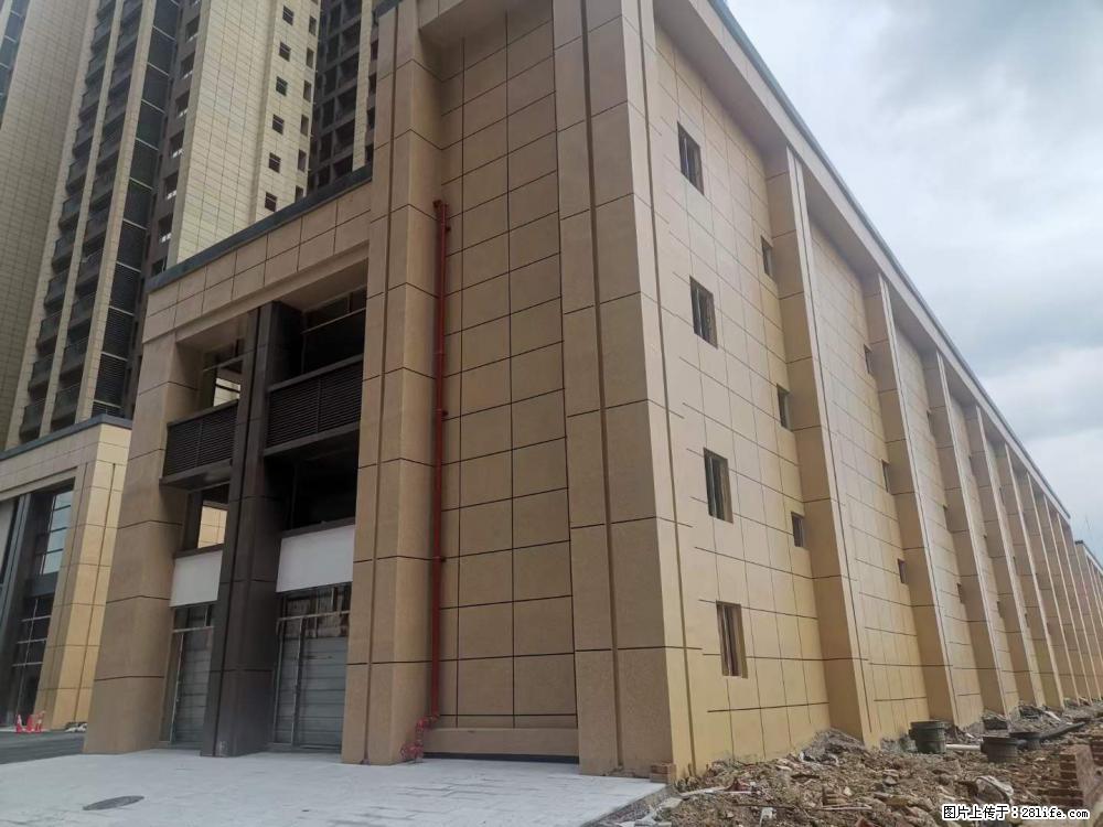 【广西三象建筑安装工程有限公司】外墙涂料工程 - 新手上路 - 明港生活社区 - 明港28生活网 mg.28life.net