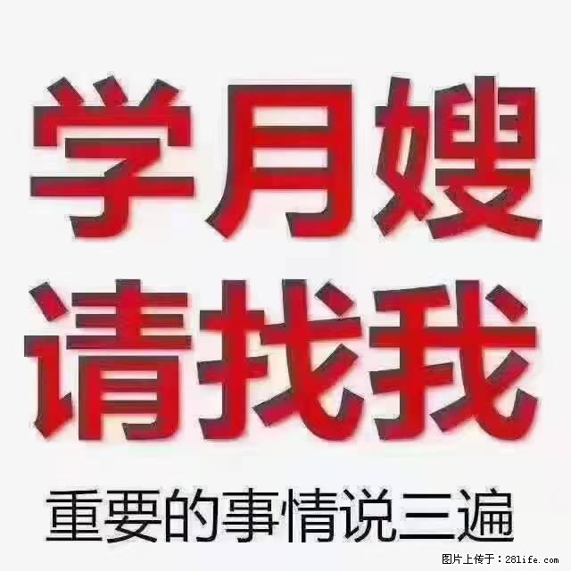 【招聘】月嫂，上海徐汇区 - 职场交流 - 明港生活社区 - 明港28生活网 mg.28life.net