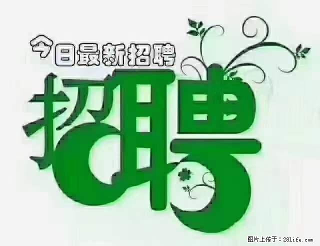 上海隔离酒店招人：55岁以下 男女不限 - 职场交流 - 明港生活社区 - 明港28生活网 mg.28life.net