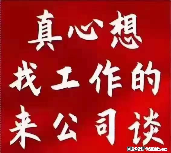 【上海】国企,医院招两名男保安,55岁以下,身高1.7米以上,无犯罪记录不良嗜好 - 职场交流 - 明港生活社区 - 明港28生活网 mg.28life.net