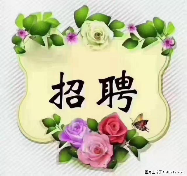 【招聘】住家育儿嫂，上户日期：4月4日，工作地址：上海 黄浦区 - 职场交流 - 明港生活社区 - 明港28生活网 mg.28life.net