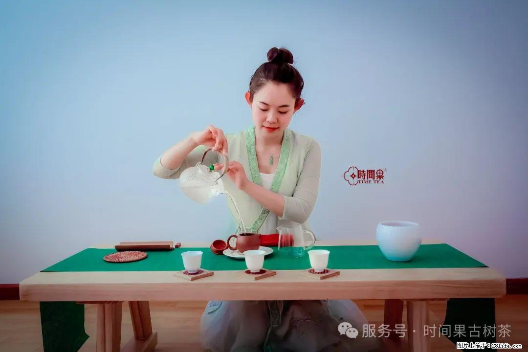 时间果百年古树龙珠普洱生茶 - 购物交流 - 明港生活社区 - 明港28生活网 mg.28life.net