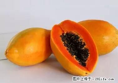 晕车、脚气、牙齿变黄、皮肤粗糙？学会这些三分钟搞定！ - 明港生活资讯 - 明港28生活网 mg.28life.net