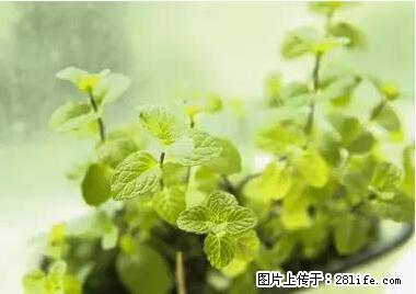 晕车、脚气、牙齿变黄、皮肤粗糙？学会这些三分钟搞定！ - 明港生活资讯 - 明港28生活网 mg.28life.net