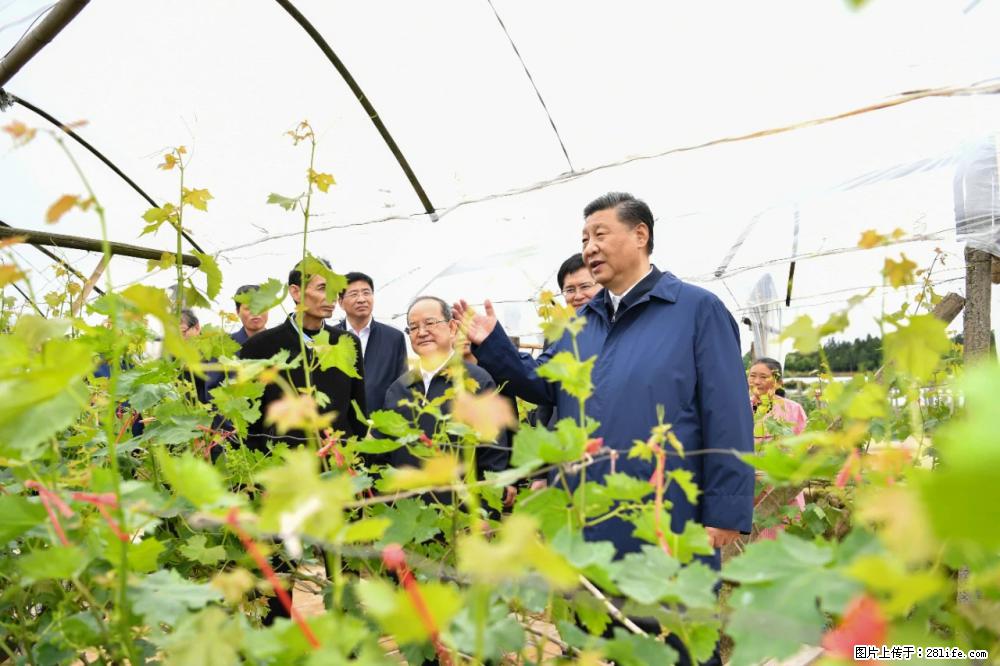 习近平赴广西考察调研 - 明港生活资讯 - 明港28生活网 mg.28life.net