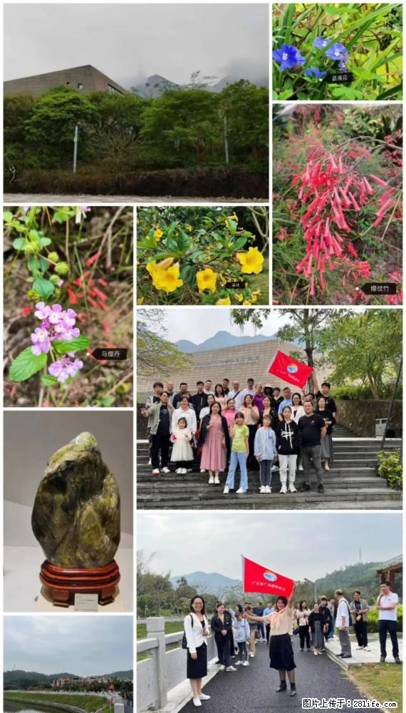 “粤灌文化 美好生活”油茶文化主题活动在广东深圳成功举办 - 明港生活资讯 - 明港28生活网 mg.28life.net