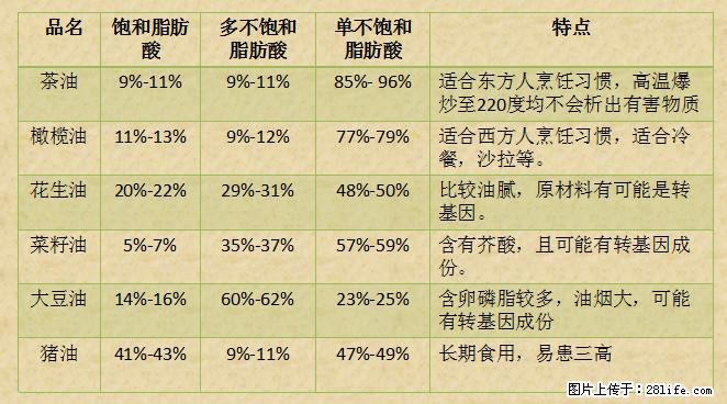 揭秘茶油的5大核心营养成分！被称为人体健康的“守护盾”！ - 明港生活资讯 - 明港28生活网 mg.28life.net