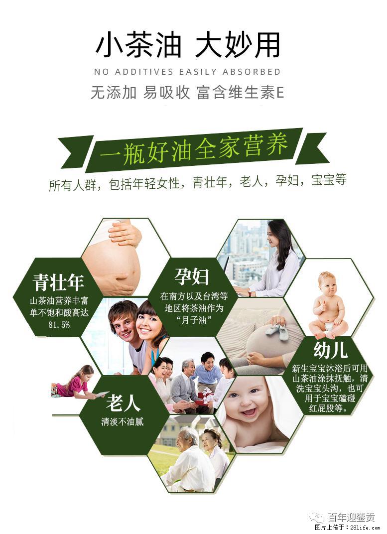 世界没有真相，只有认知，最好的食用油是中国的山茶油！ - 明港生活资讯 - 明港28生活网 mg.28life.net