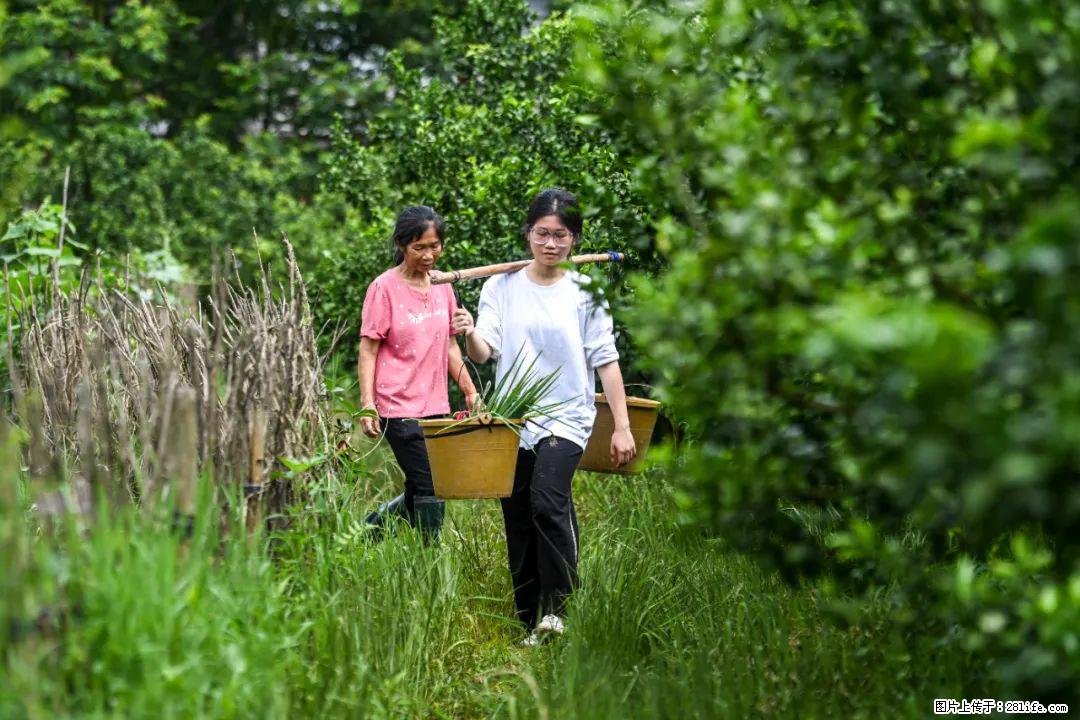 全网追的“扁担女孩”，找了一份暑假工，时薪12元 - 明港生活资讯 - 明港28生活网 mg.28life.net