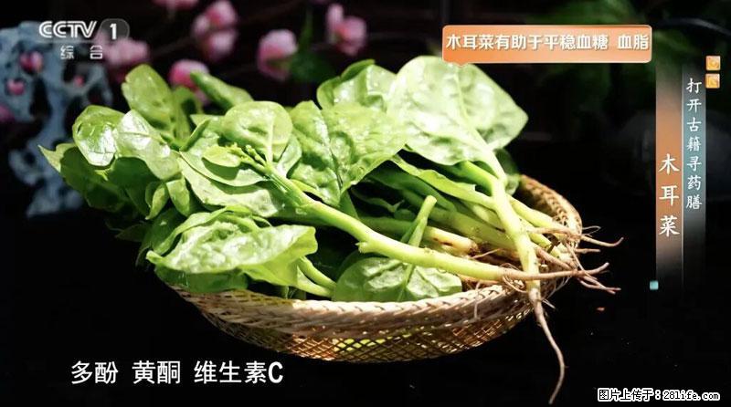 比牛奶补钙还厉害！凉血解毒、稳血糖...这菜冬天必吃，很多人却当草 - 明港生活资讯 - 明港28生活网 mg.28life.net