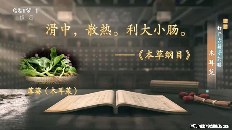 比牛奶补钙还厉害！凉血解毒、稳血糖...这菜冬天必吃，很多人却当草 - 明港生活资讯 - 明港28生活网 mg.28life.net