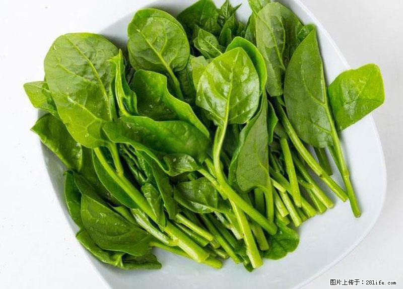 这些蔬菜是“天然钙片”，这6种被医生重点推荐 - 明港生活资讯 - 明港28生活网 mg.28life.net