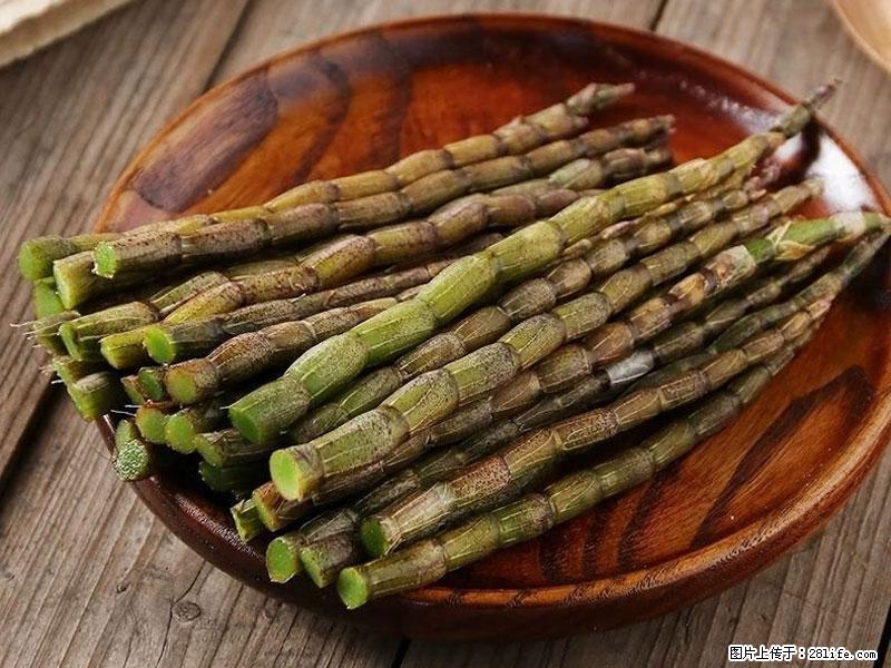 铁皮石斛的作用与功能主治 - 明港生活资讯 - 明港28生活网 mg.28life.net