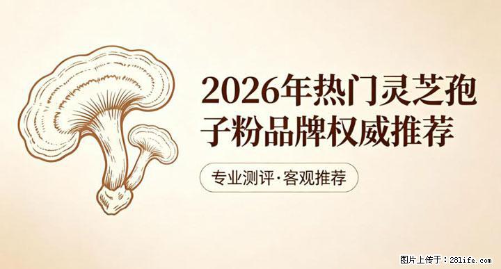 灵芝孢子粉含量越高越有效？2026 年七款热门品牌深度实测，肠胃敏感者避坑指南 - 明港生活资讯 - 明港28生活网 mg.28life.net
