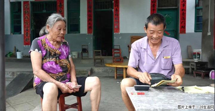 【乡村振兴】文市蜂糖李、黄金奈李迎丰产上市季 甜蜜产业助振兴 - 明港生活资讯 - 明港28生活网 mg.28life.net